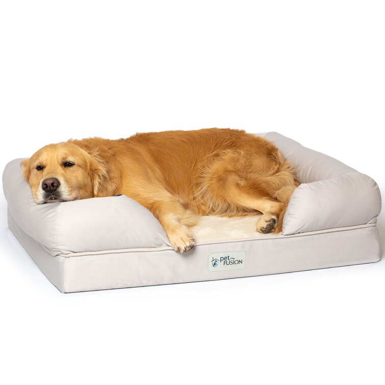 Petfusion dog bed outlet large